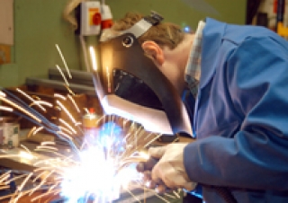 Berufswahl, Ausbildung und Studium